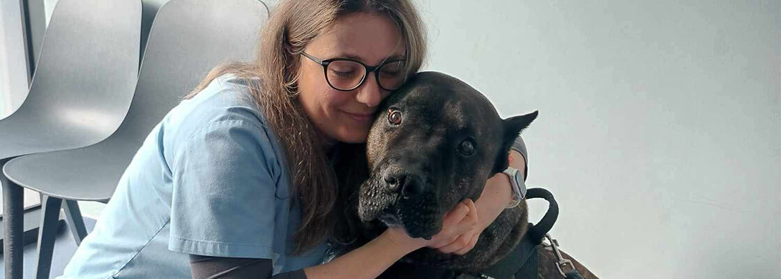Tot ce trebuie să știi despre GDV la câini – o urgență medicală majoră care nu așteaptă