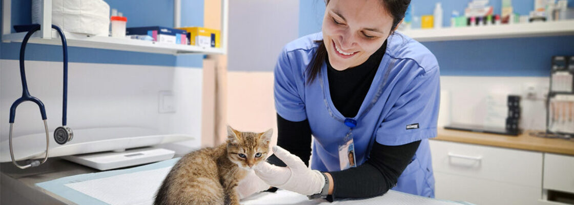 Am inaugurat primul Cabinet Veterinar în Cisnădie: medicina veterinară de top ajunge mai aproape de tine