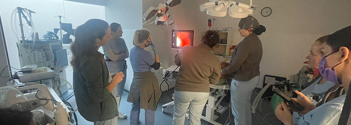 Endoscopia veterinară: când răspunsurile vin fără bisturiu