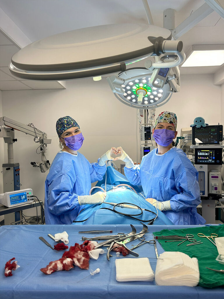 RMN care evidențiază hernie de disc la câine