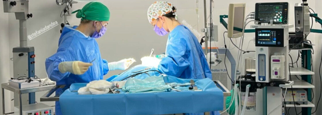 Cazul Puffy: Când neurochirurgia învinge paralizia