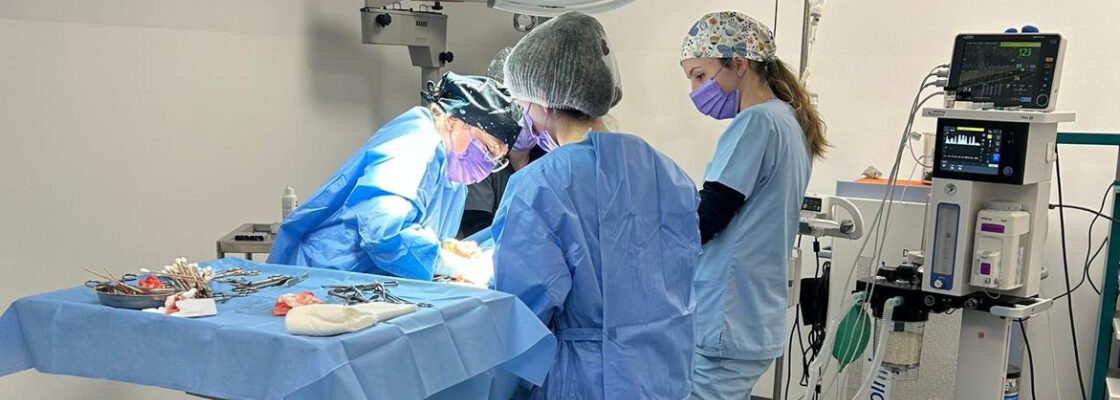 Urgențe gastrointestinale în urma ingestiei de corpi straini