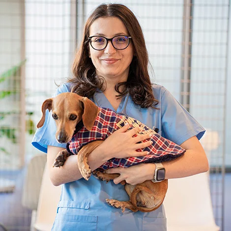 Dr. Elena Caravan