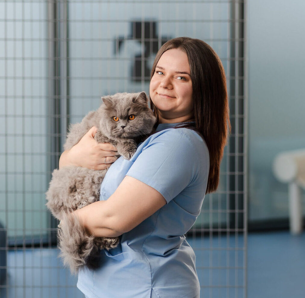 Dr. Denisa Birta