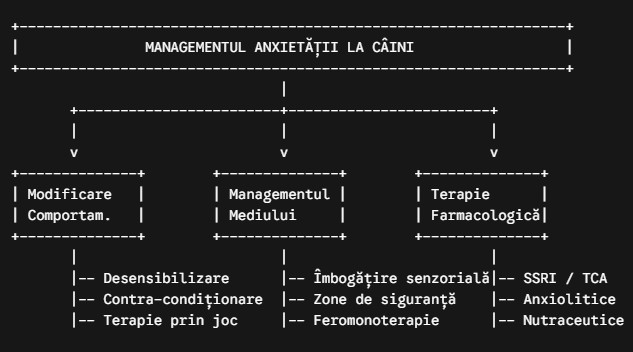anxietatea la câini