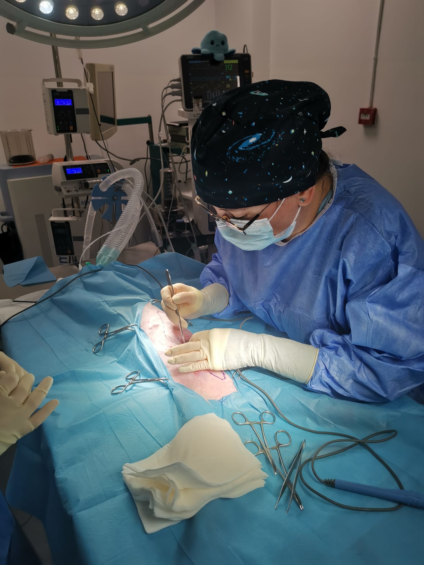 sterilizare caine