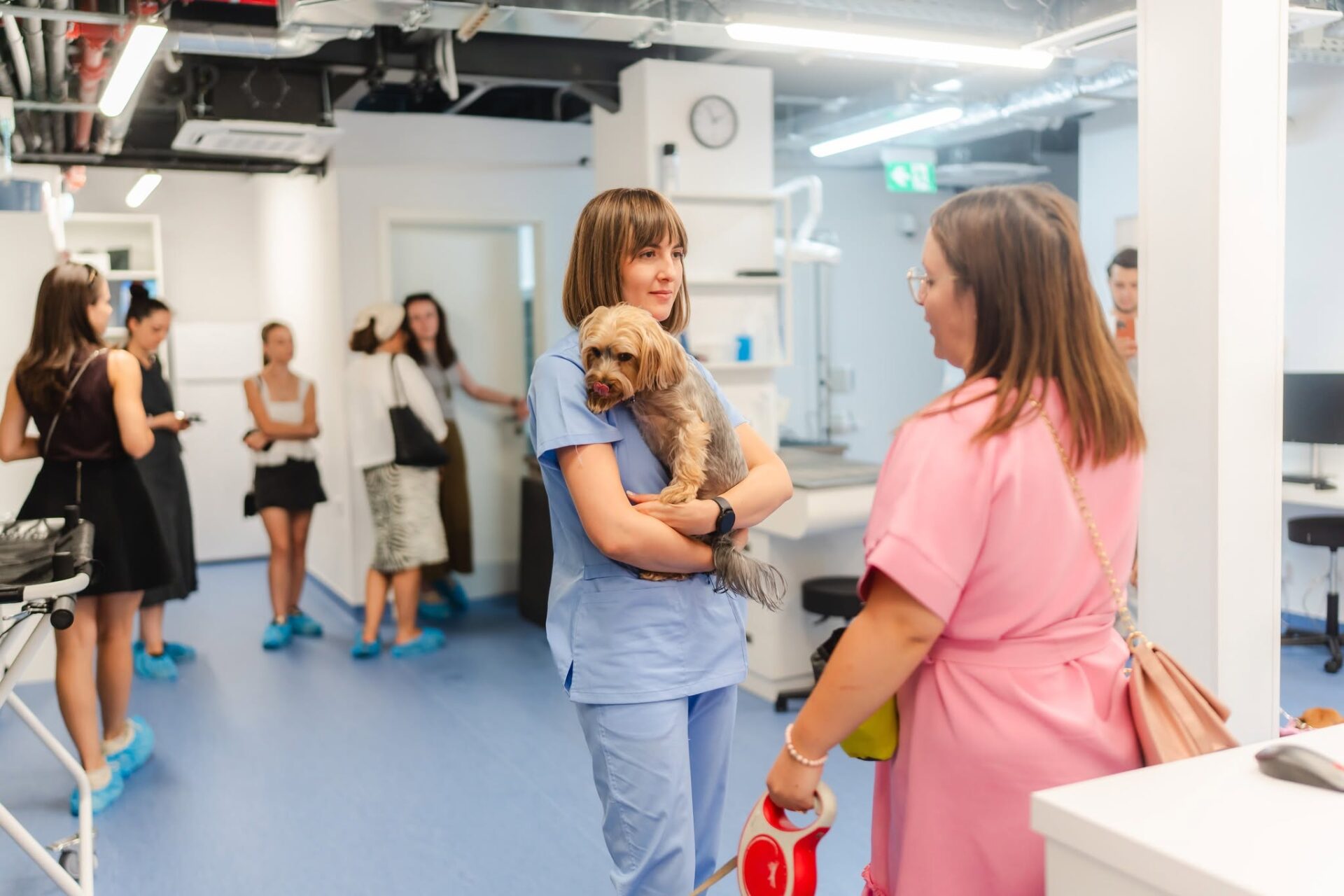 spital veterinar Timisoara