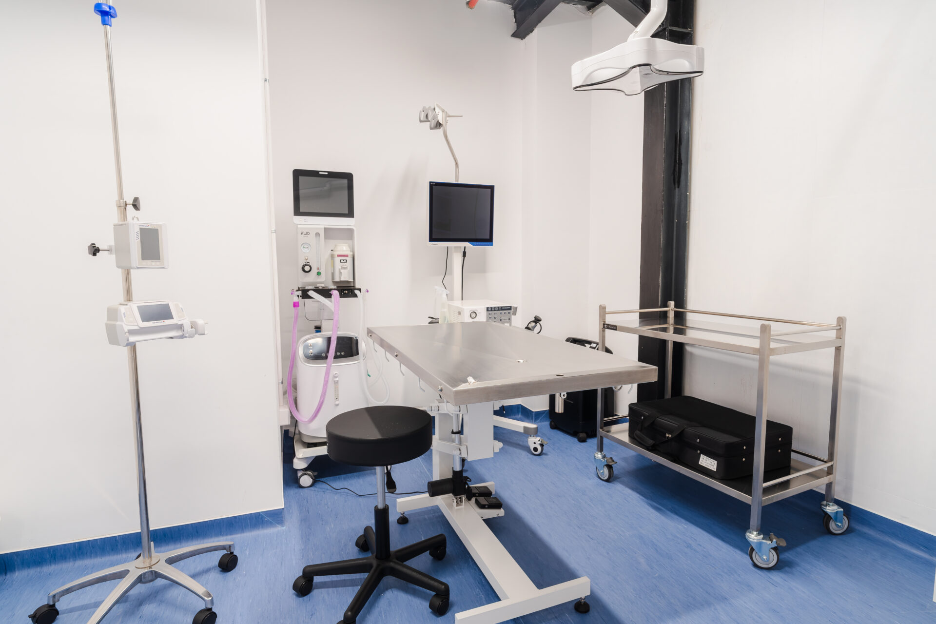 spital veterinar Timisoara