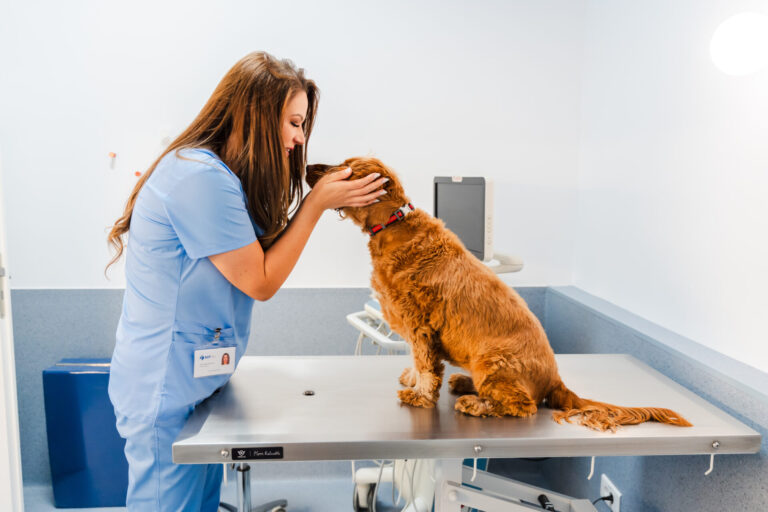 spitalul veterinar transilvania75