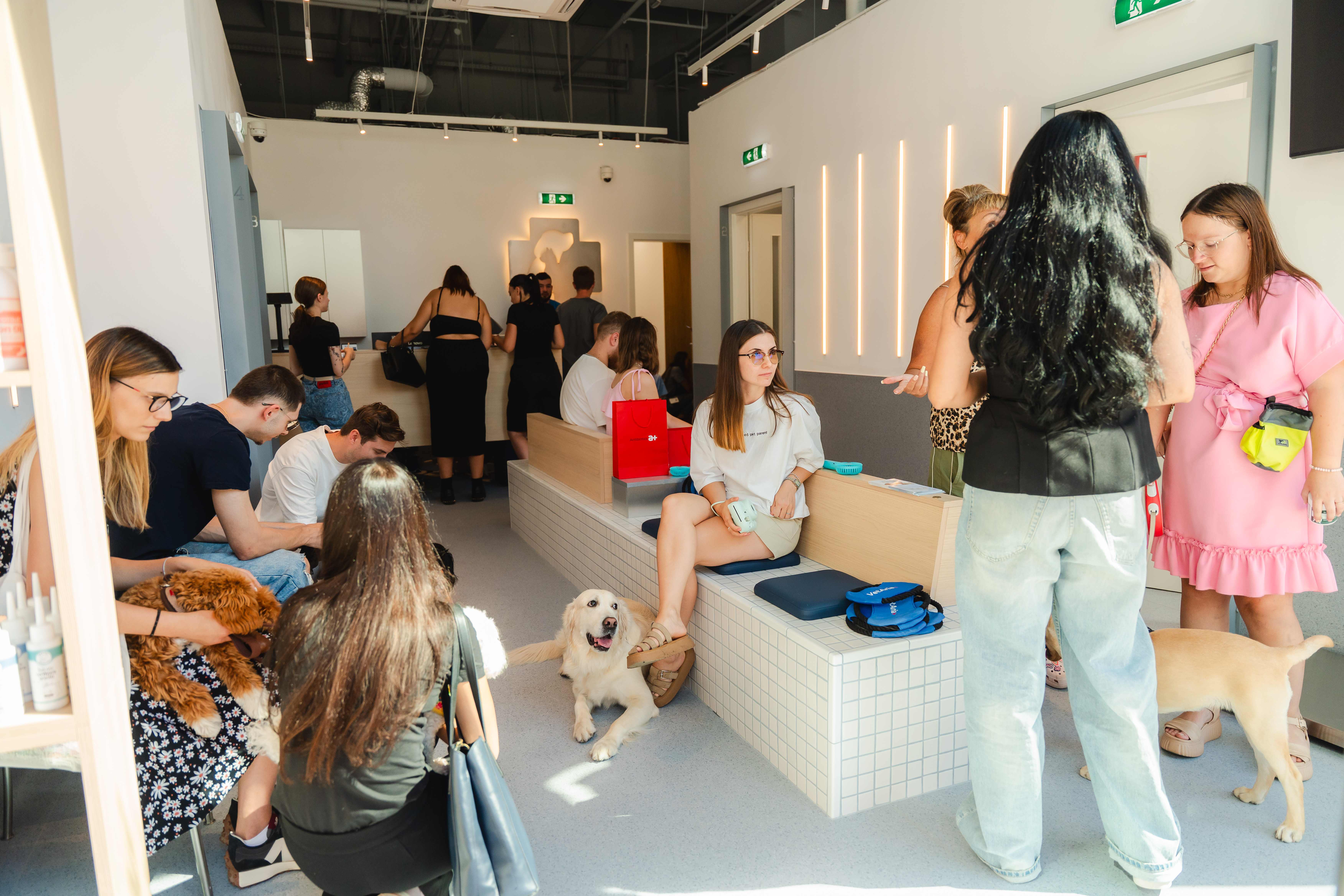 spital veterinar Timisoara
