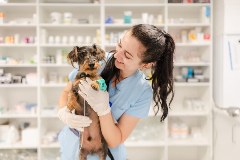 spitalul veterinar transilvania