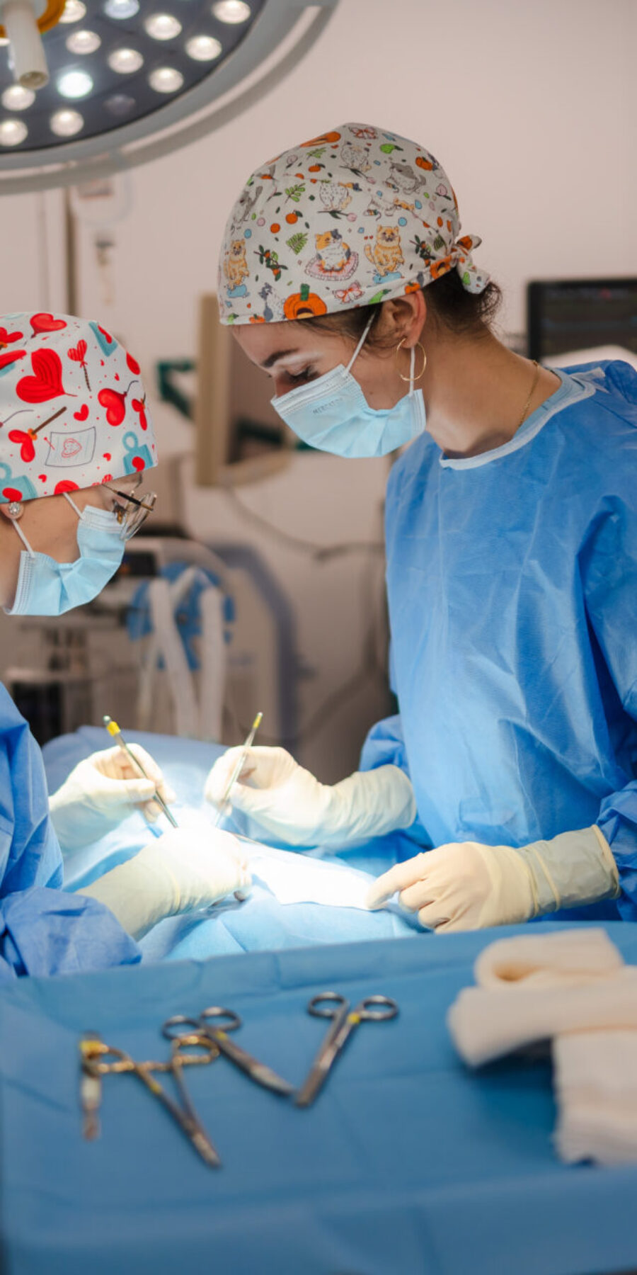 Neurochirurgie veterinara
